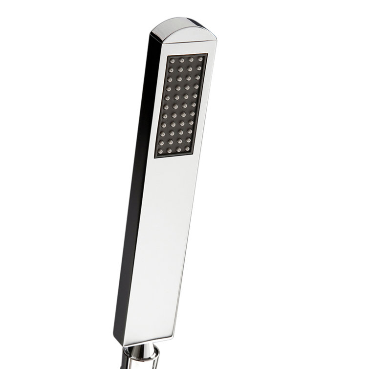 LACAVA Embrace 2861 Hand Held Shower Head Wayfair